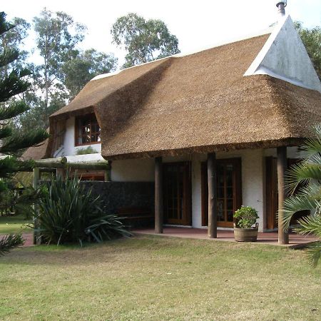 Calandria Villa Cuchilla Alta Kültér fotó