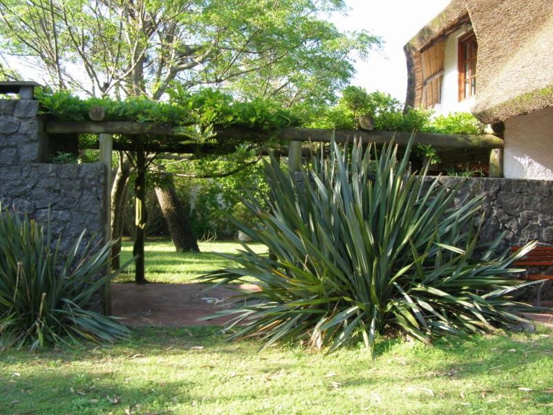 Calandria Villa Cuchilla Alta Kültér fotó