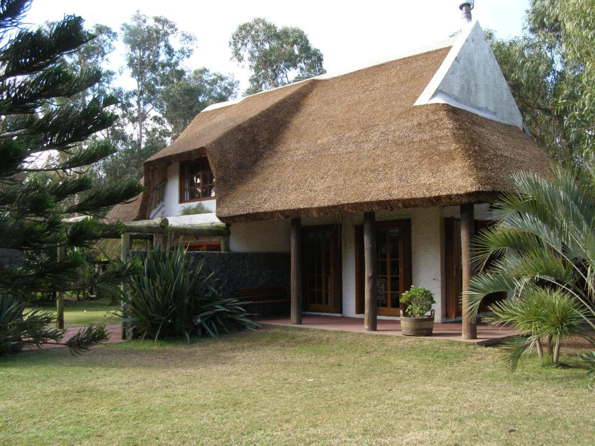 Calandria Villa Cuchilla Alta Kültér fotó